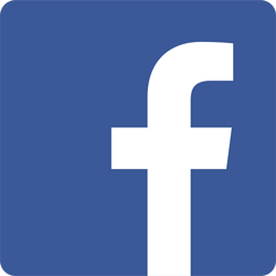 facebook - icon